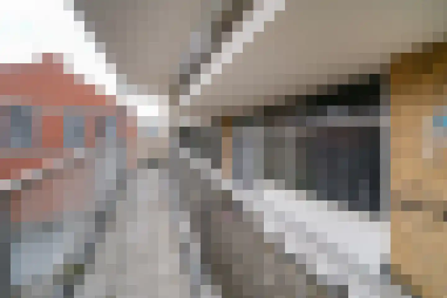 Meent 24 Papendrecht thumbnail 27