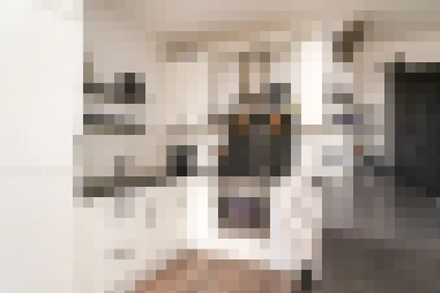Meent 24 Papendrecht thumbnail 8