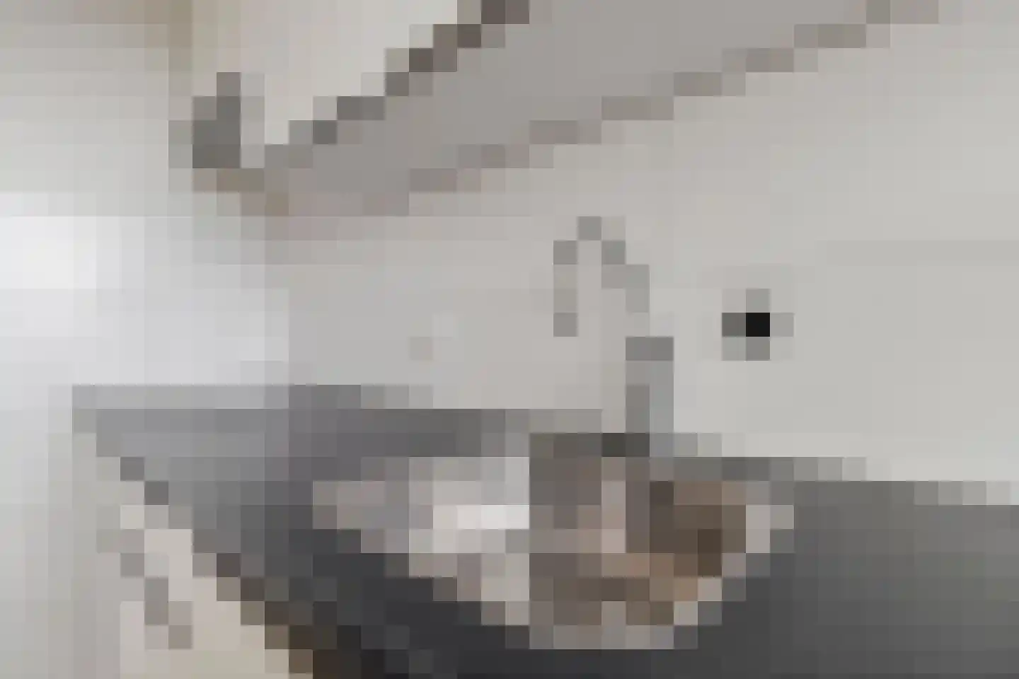 Meent 25 Horst thumbnail 13