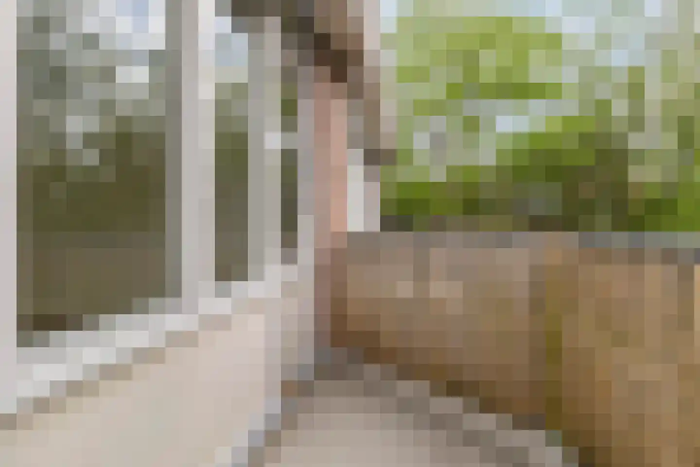 Meent 25 Horst thumbnail 9