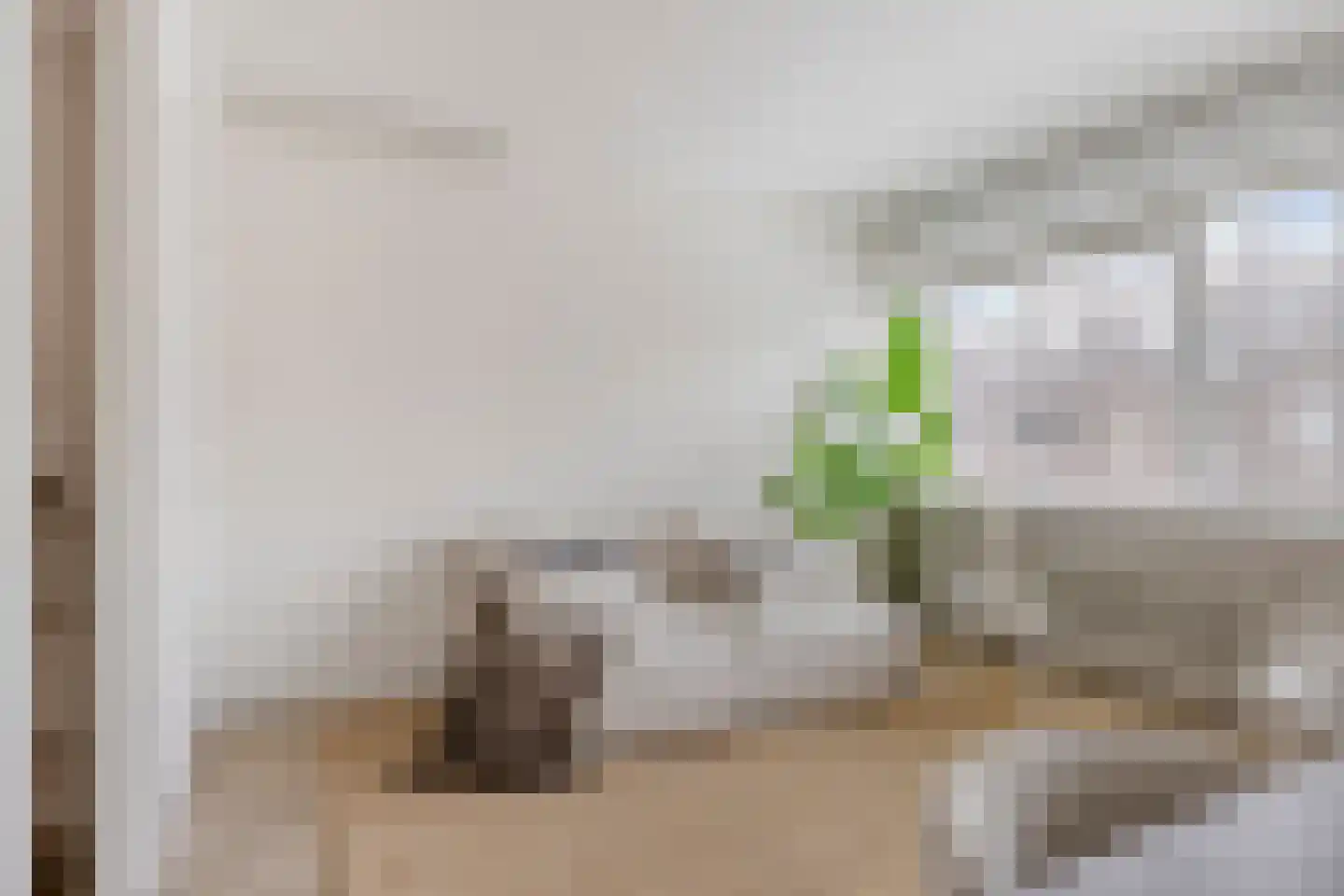 Meent 26 D Rotterdam thumbnail 8