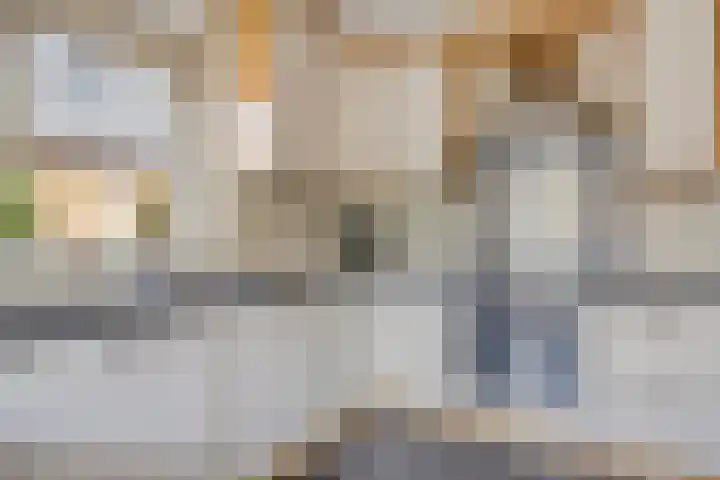Meent 29 Soest thumbnail 10