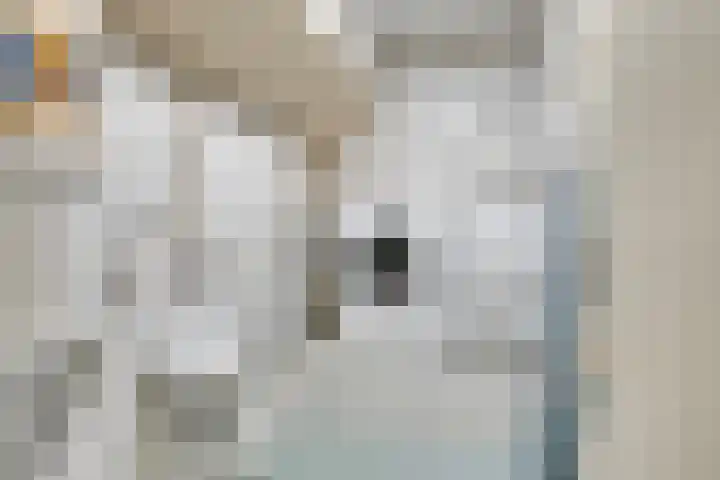 Meent 29 Soest thumbnail 33