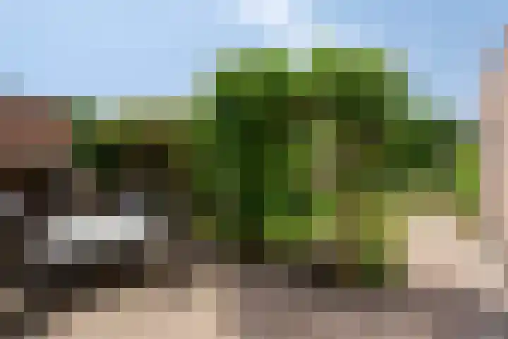 Meent 29 Soest thumbnail 35