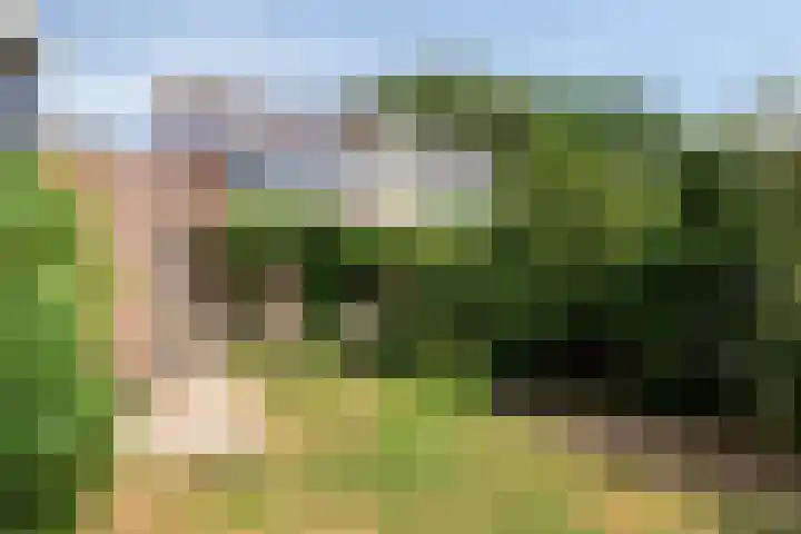 Meent 29 Soest thumbnail 37