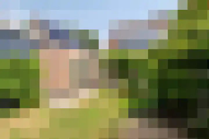 Meent 29 Soest thumbnail 39