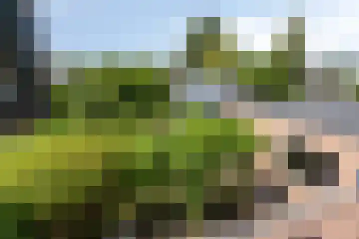 Meent 29 Soest thumbnail 41