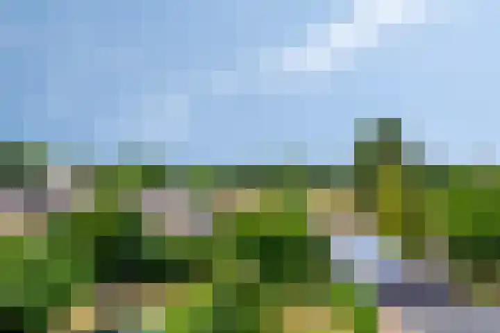 Meent 29 Soest thumbnail 44