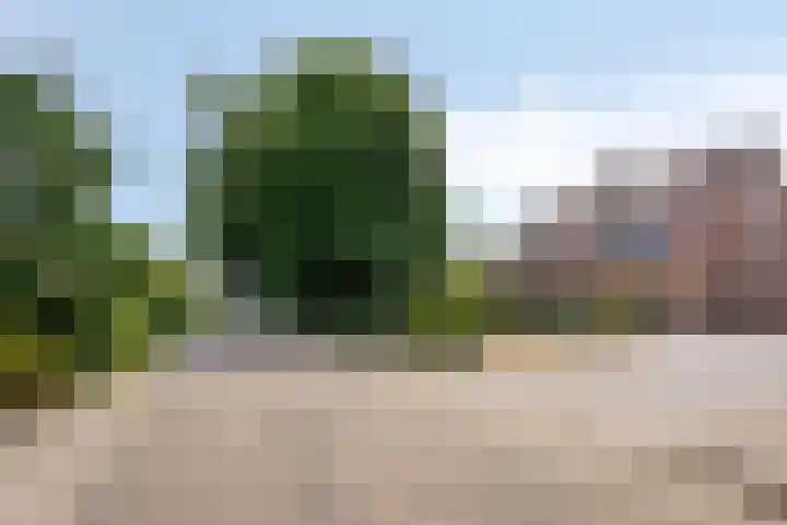 Meent 29 Soest thumbnail 47