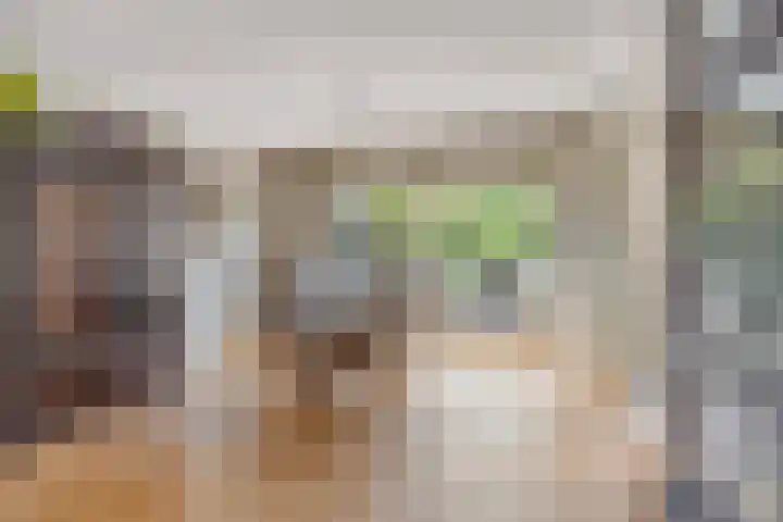 Meent 29 Soest thumbnail 7