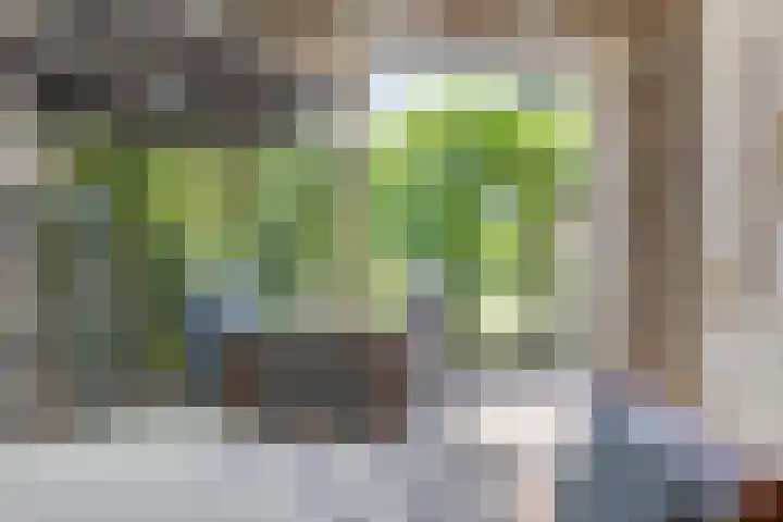 Meent 29 Soest thumbnail 8