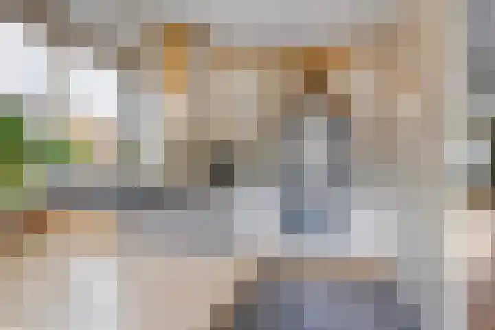Meent 29 Soest thumbnail 9