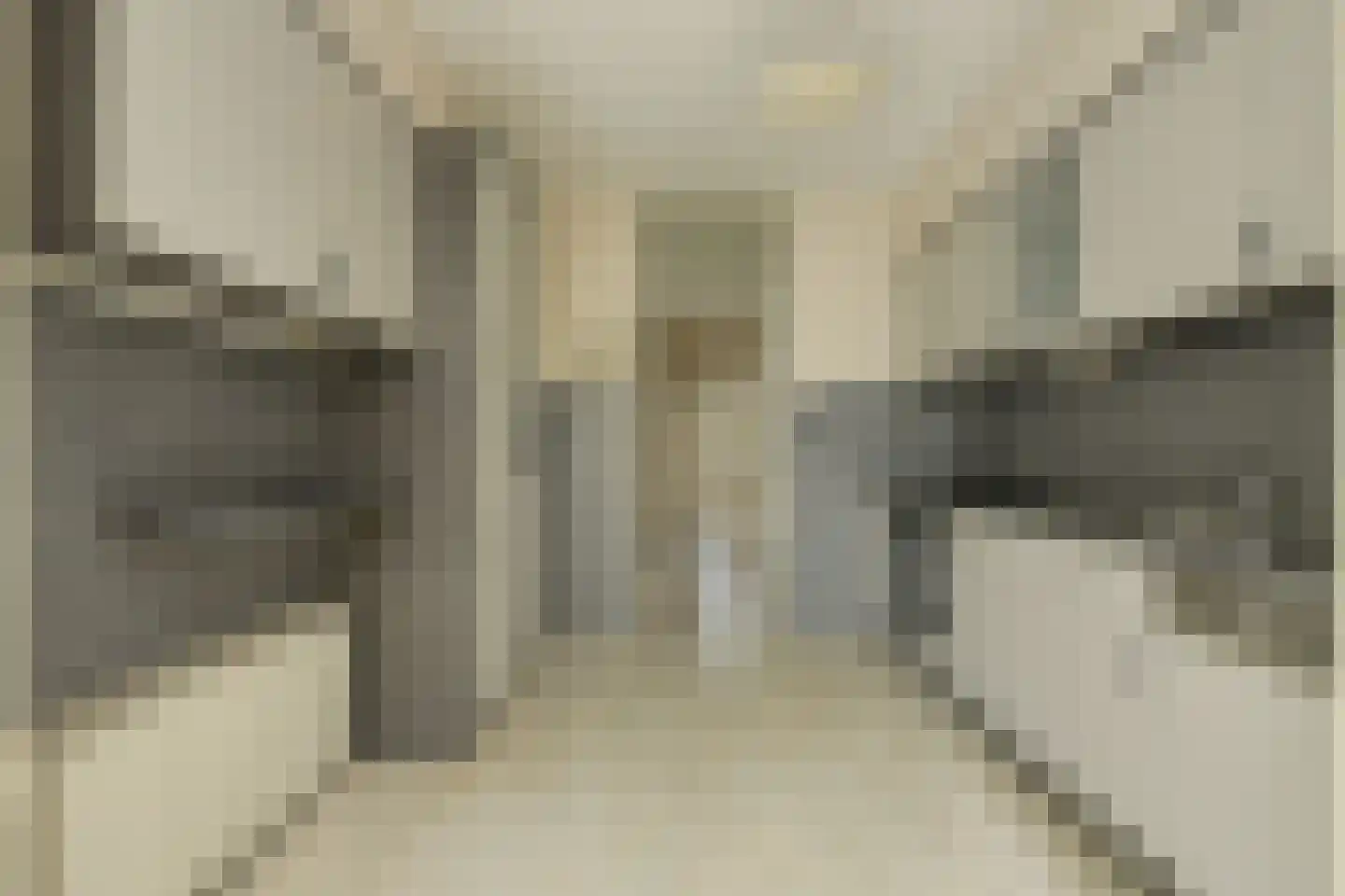 Meent 297 Breda thumbnail 13