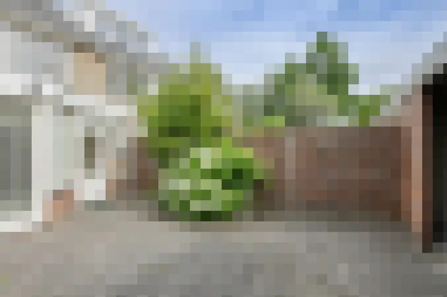 Meent 297 Breda thumbnail 39