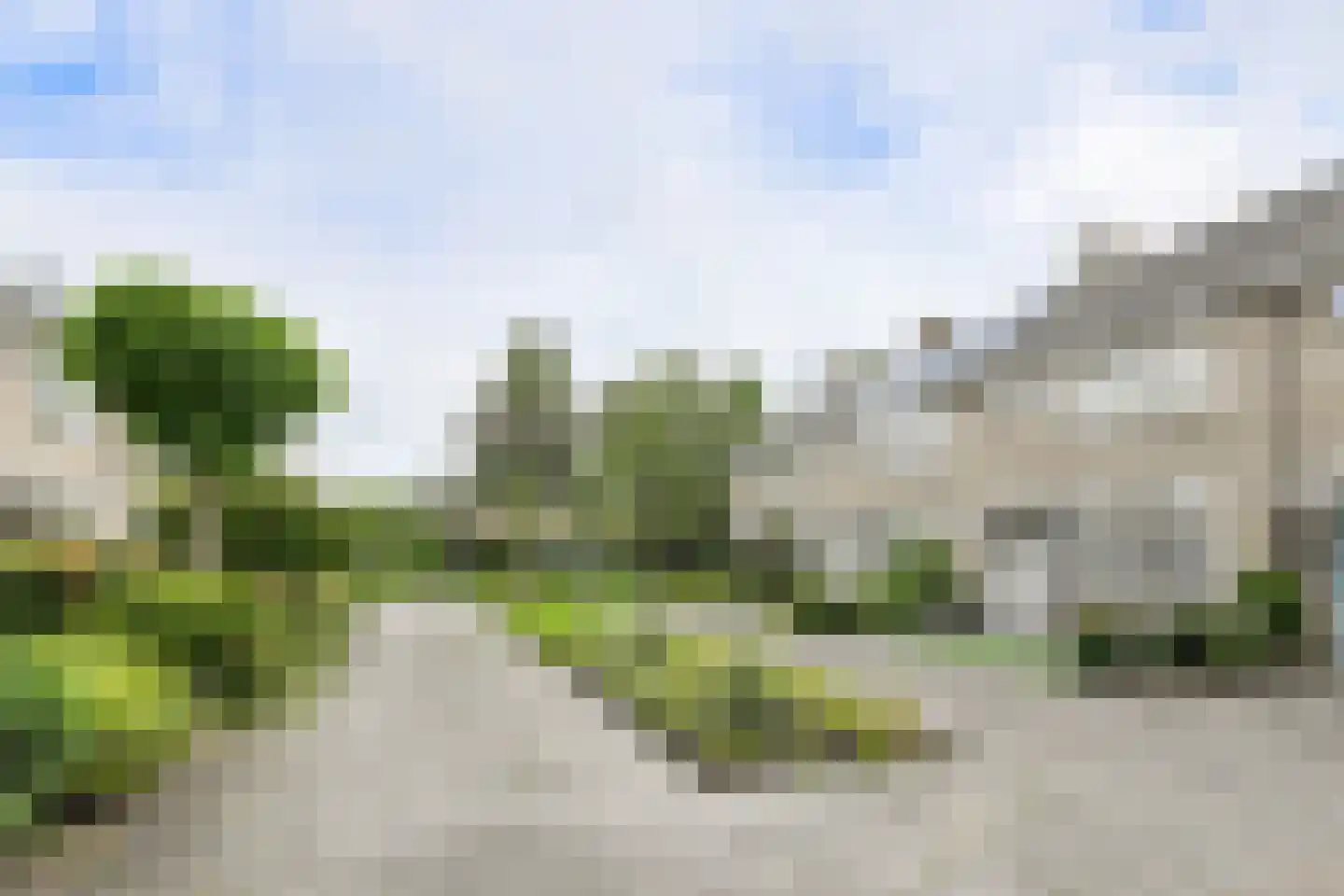 Meent 297 Breda thumbnail 42