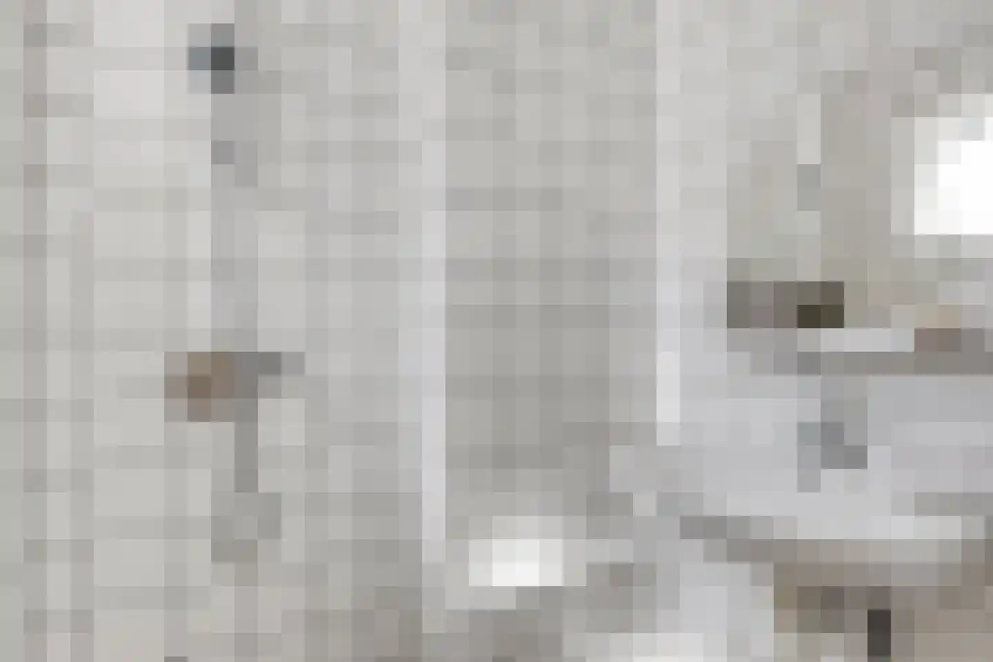 Meent 30 C Rotterdam thumbnail 13