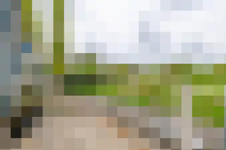 Meent 30 Zeist thumbnail 14