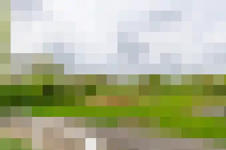 Meent 30 Zeist thumbnail 16