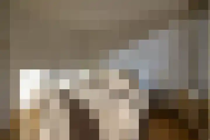Meent 34 B Rotterdam thumbnail 15