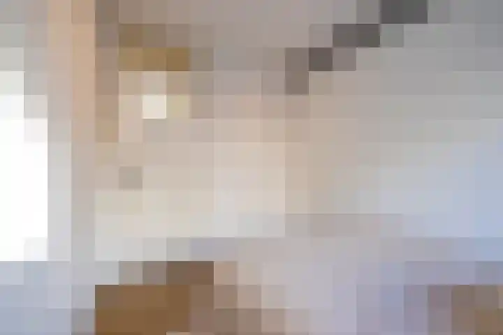 Meent 34 B Rotterdam thumbnail 20