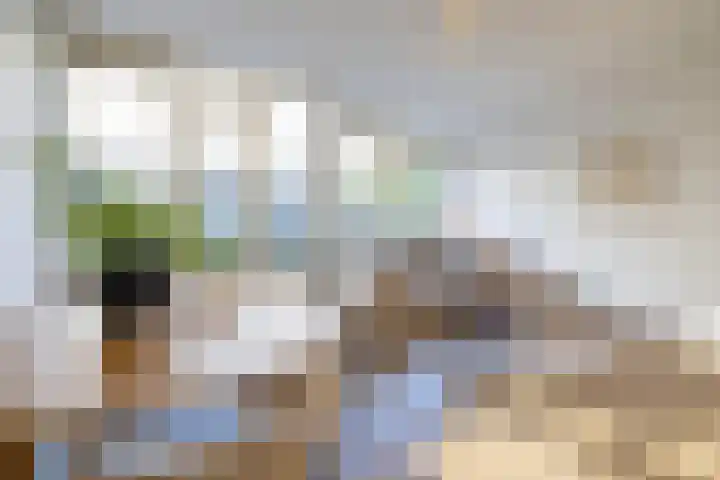 Meent 34 B Rotterdam thumbnail 7