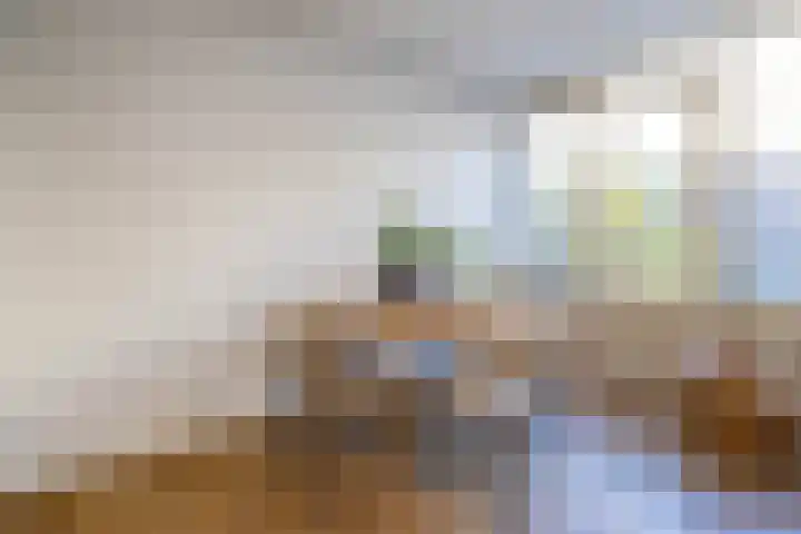 Meent 34 B Rotterdam thumbnail 9