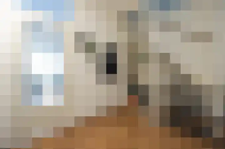 Meent 34 Papendrecht thumbnail 14
