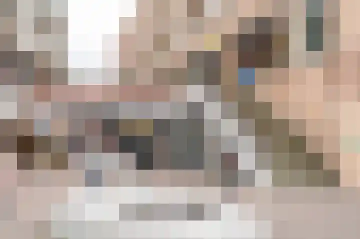 Meent 34 Papendrecht thumbnail 28