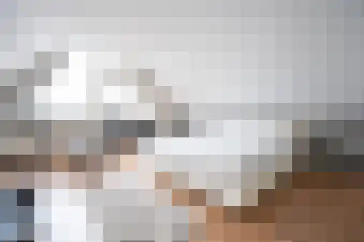 Meent 34 Papendrecht thumbnail 4