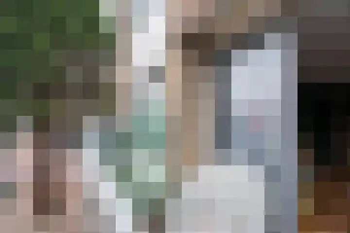 Meent 34 Papendrecht thumbnail 9