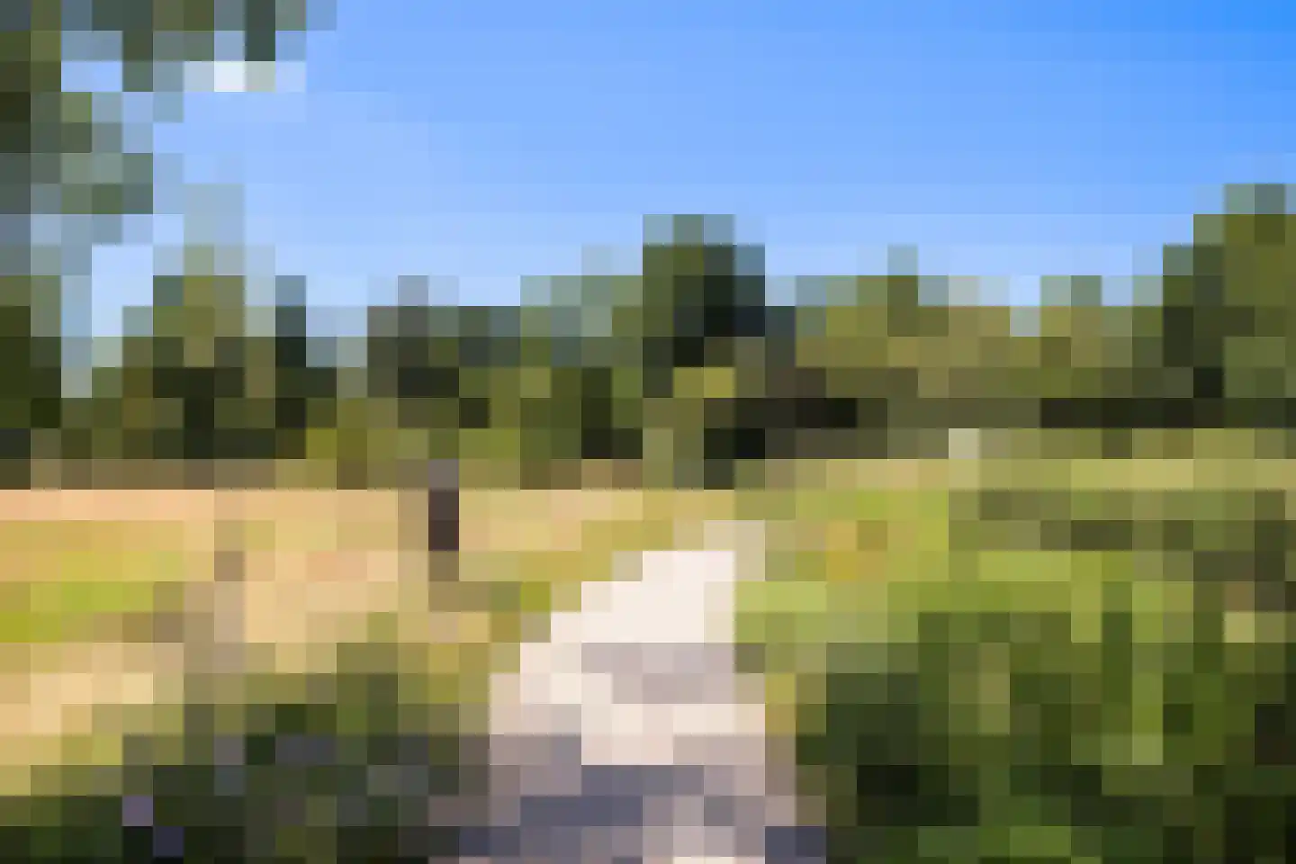 Meent 38 Zeist thumbnail 30
