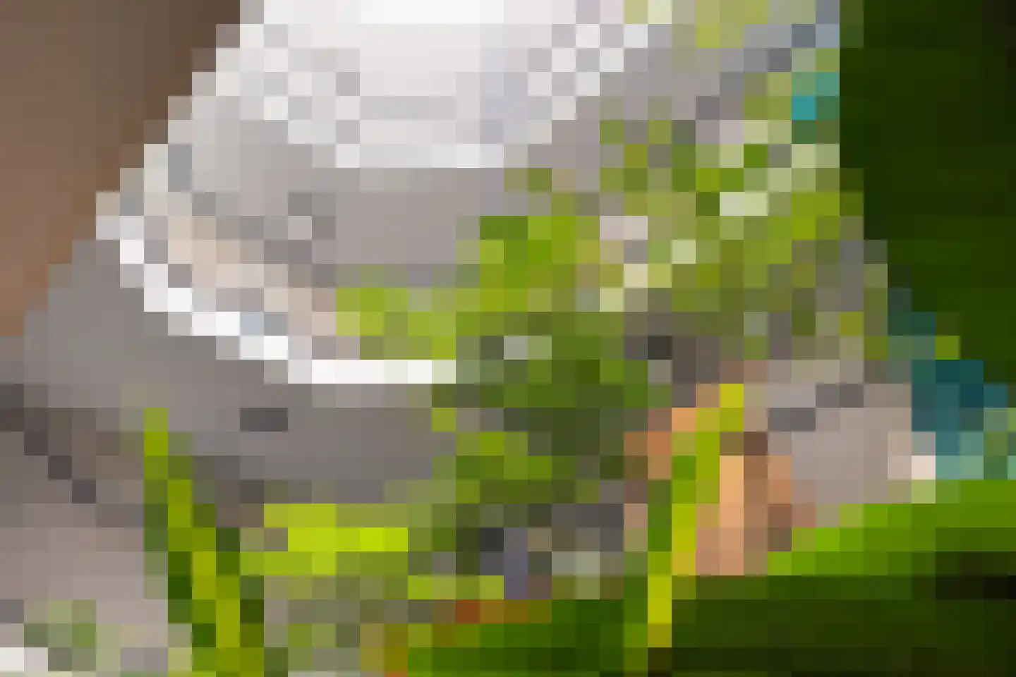 Meent 38 Zeist thumbnail 9