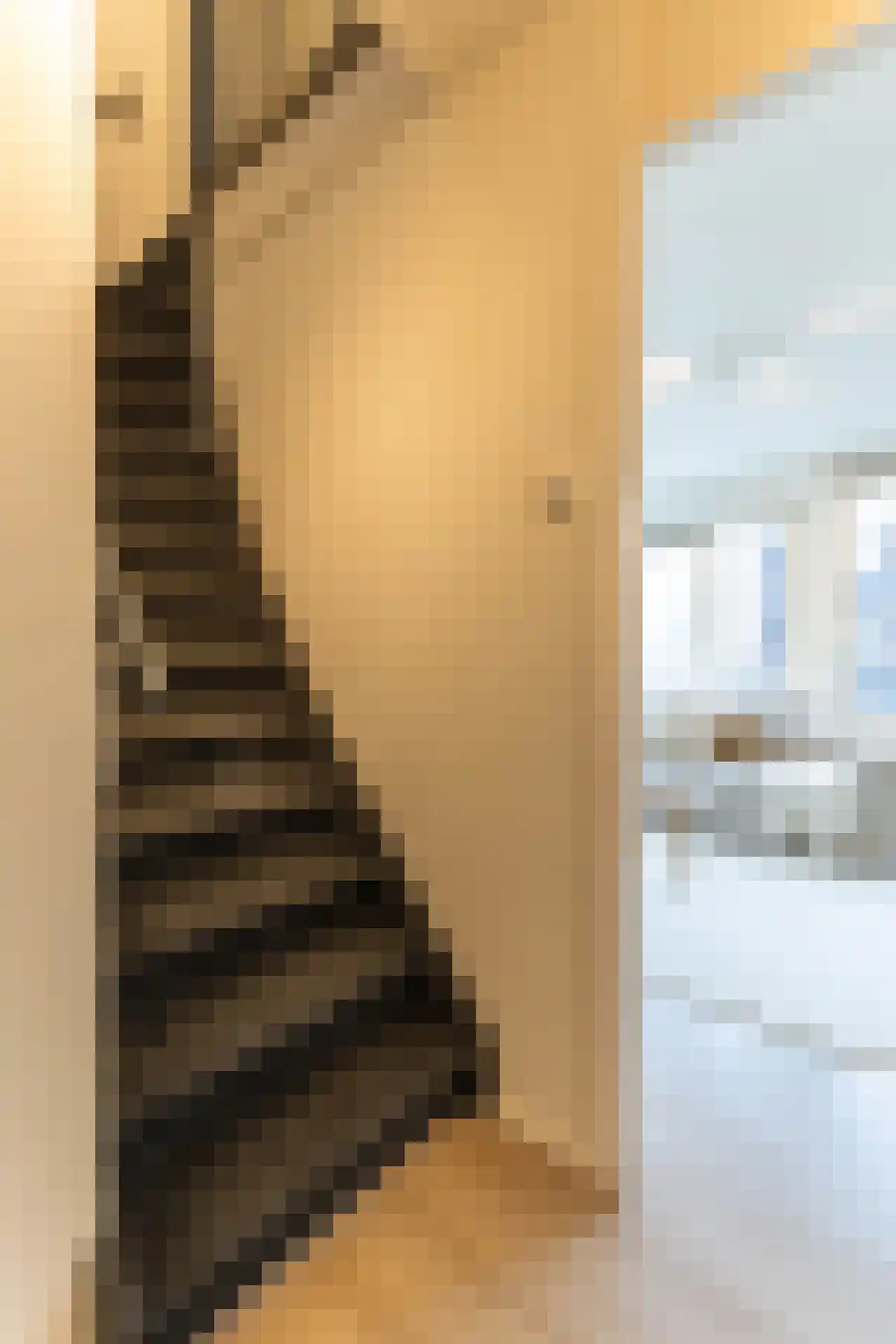 Meent 42 D Rotterdam thumbnail 13