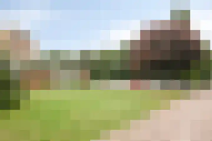 Meent 42 Norg thumbnail 26