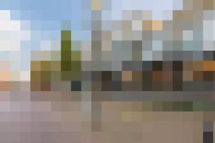 Meent 42 Papendrecht thumbnail 18