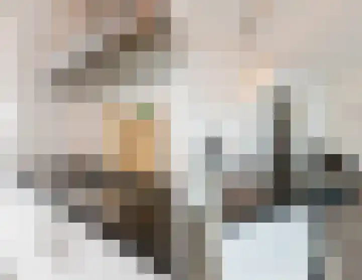 Meent 42 Papendrecht thumbnail 6