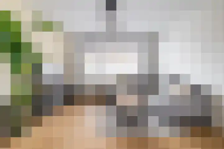 Meent 43 Breda thumbnail 10