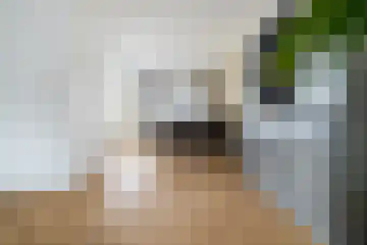 Meent 43 Breda thumbnail 11