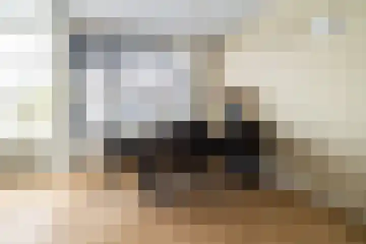 Meent 43 Breda thumbnail 12