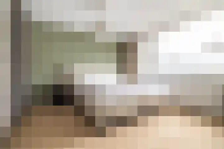 Meent 43 Breda thumbnail 16