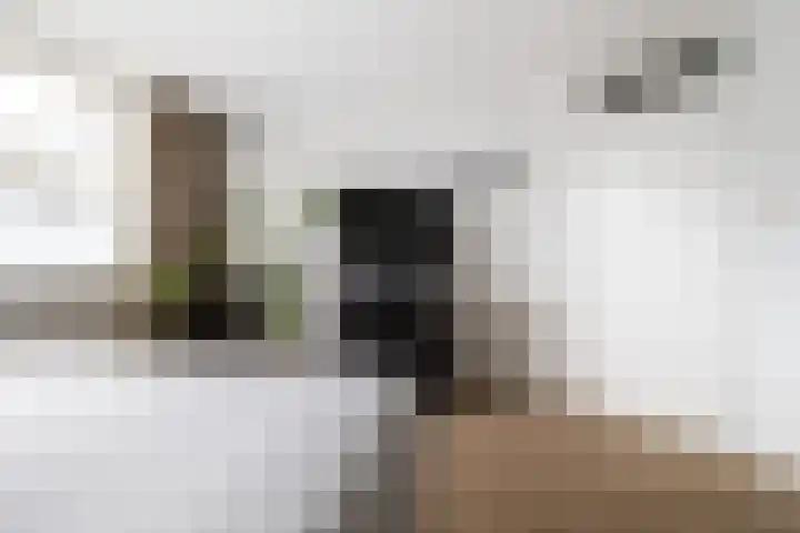 Meent 43 Breda thumbnail 17