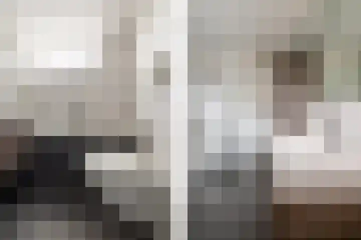 Meent 43 Breda thumbnail 20