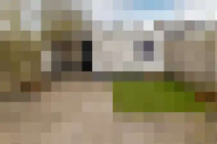 Meent 43 Breda thumbnail 26