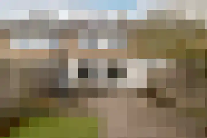 Meent 43 Breda thumbnail 27