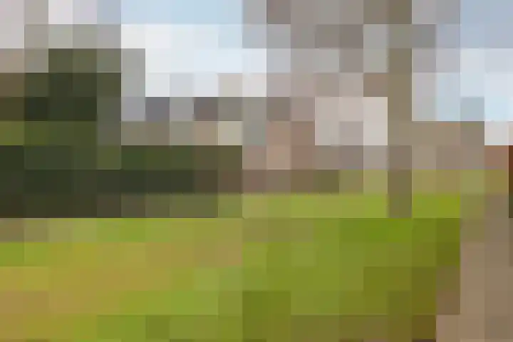 Meent 43 Breda thumbnail 29