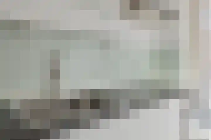 Meent 5 D Rotterdam thumbnail 4