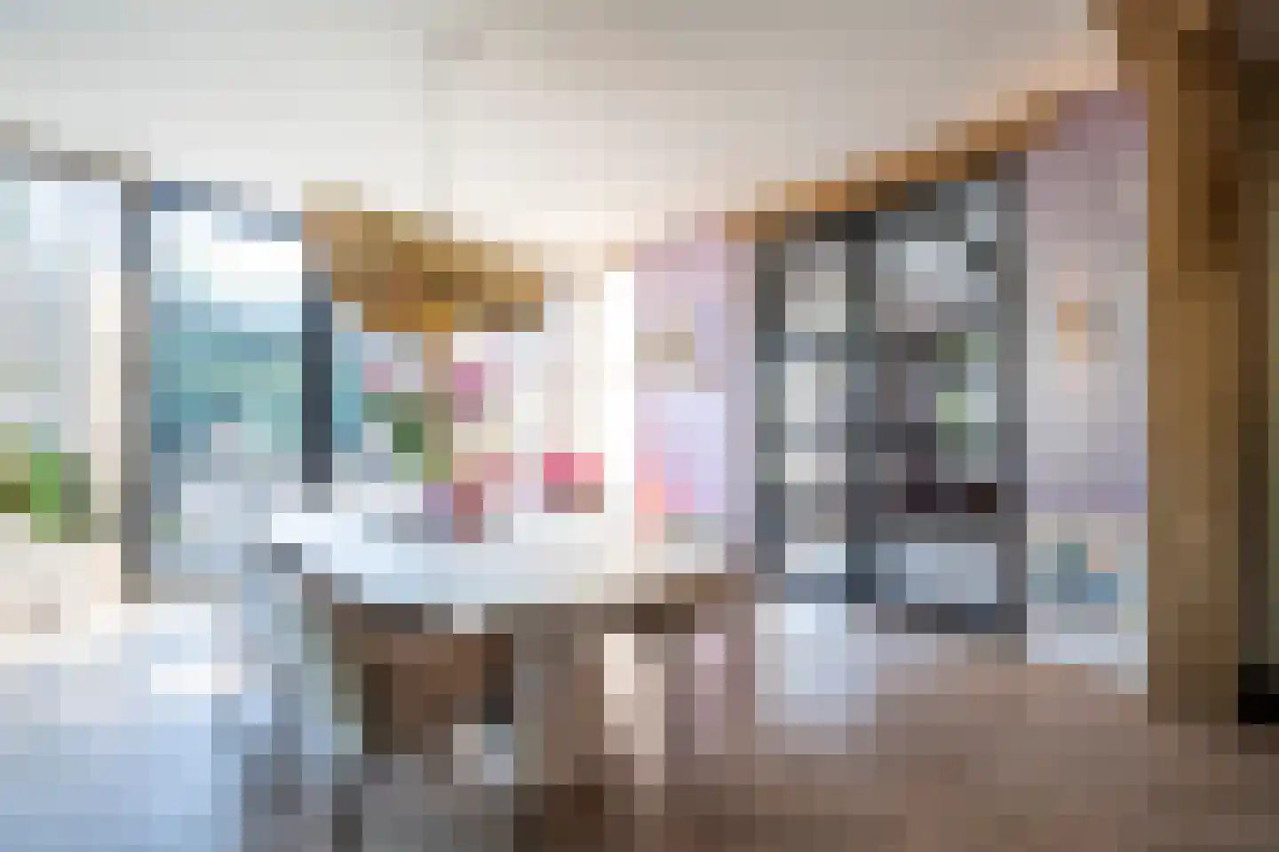 Meent 54 Leerdam thumbnail 5