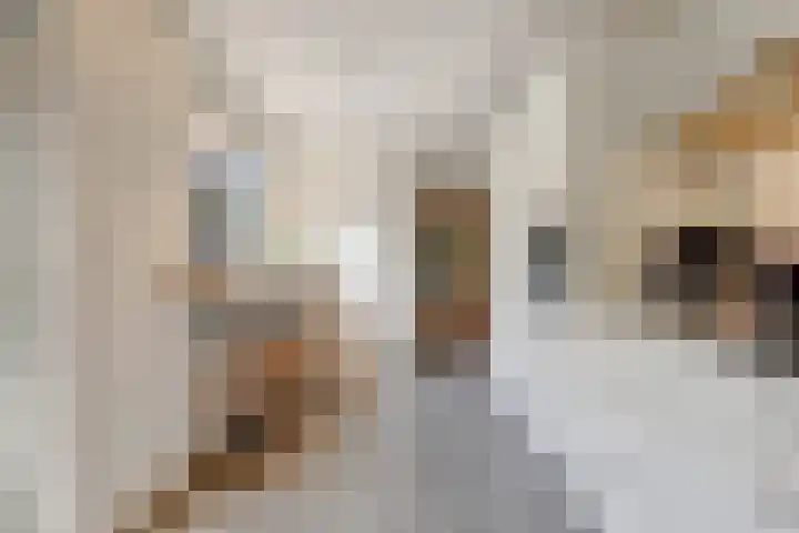 Meent 55 Leerdam thumbnail 19