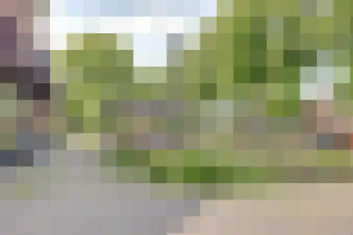 Meent 55 Leerdam thumbnail 42