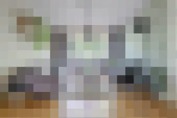 Meent 55 Leerdam thumbnail 7